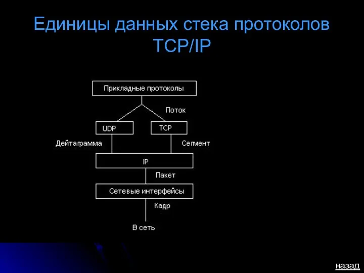 Единицы данных стека протоколов TCP/IP назад