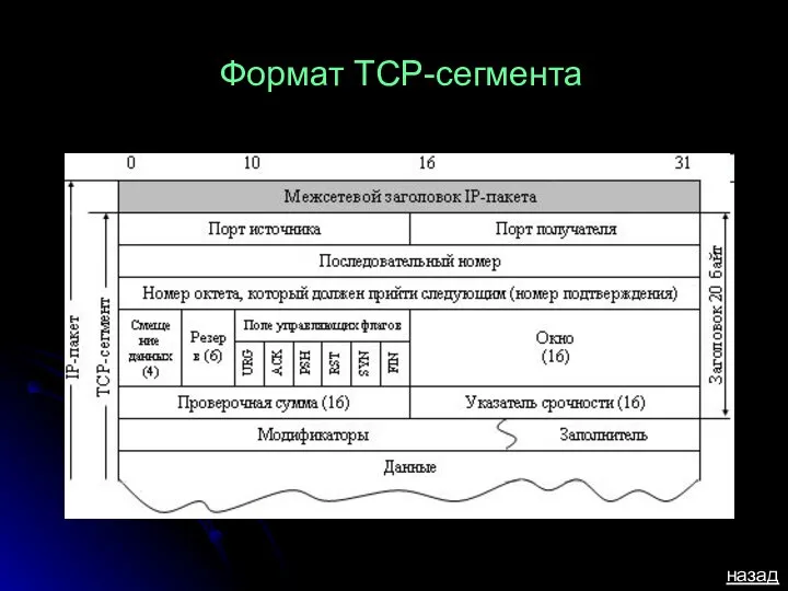 Формат ТСР-сегмента назад