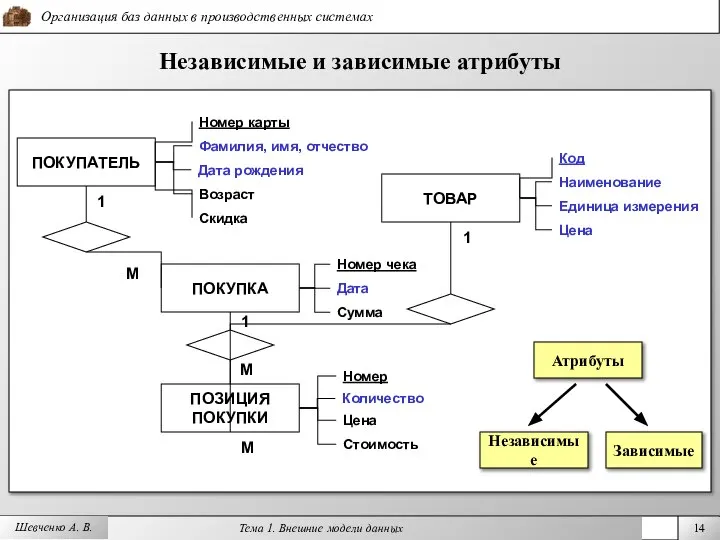 Шевченко А. В. Независимые и зависимые атрибуты Дата ПОКУПАТЕЛЬ Сумма ПОКУПКА