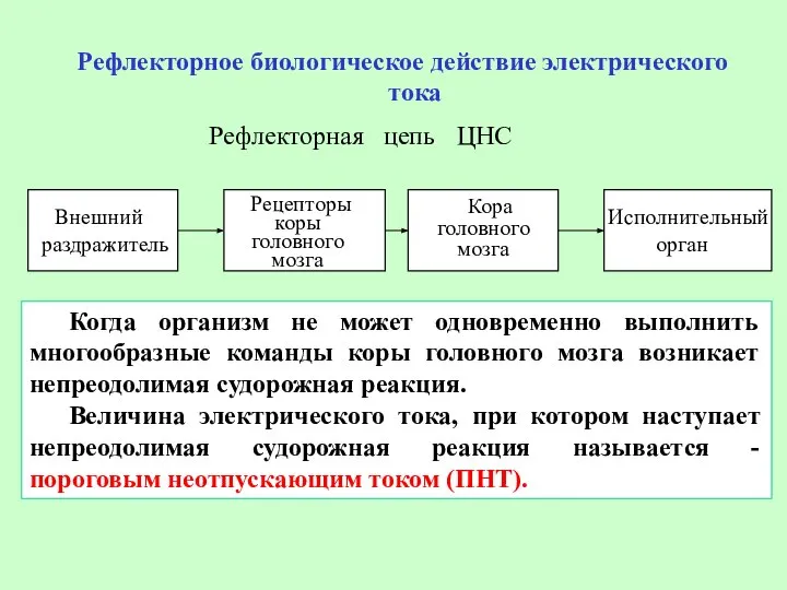 Рефлекторная цепь ЦНС Рефлекторное биологическое действие электрического тока Внешний раздражитель Рецепторы