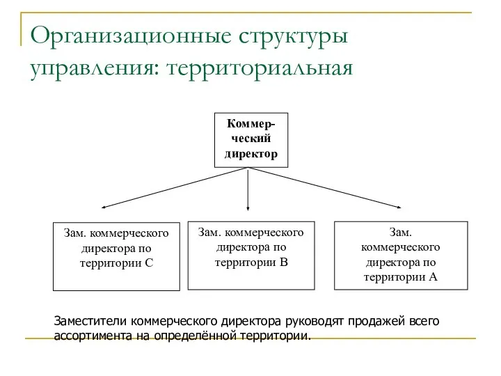 Организационные структуры управления: территориальная Заместители коммерческого директора руководят продажей всего ассортимента на определённой территории.