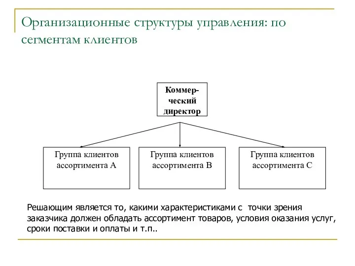 Организационные структуры управления: по сегментам клиентов Решающим является то, какими характеристиками