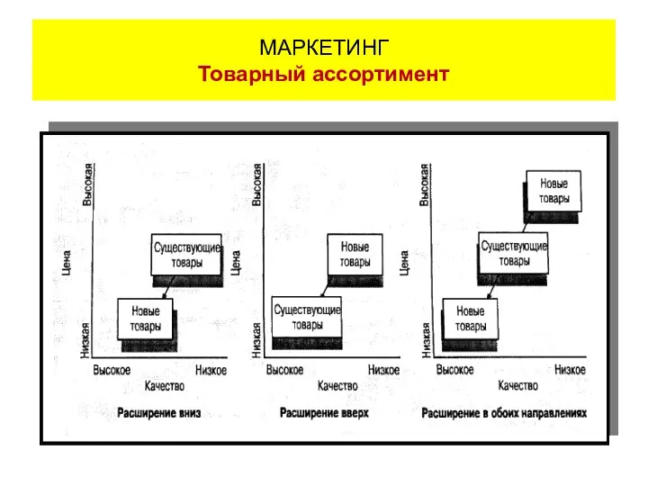 МАРКЕТИНГ Товарный ассортимент