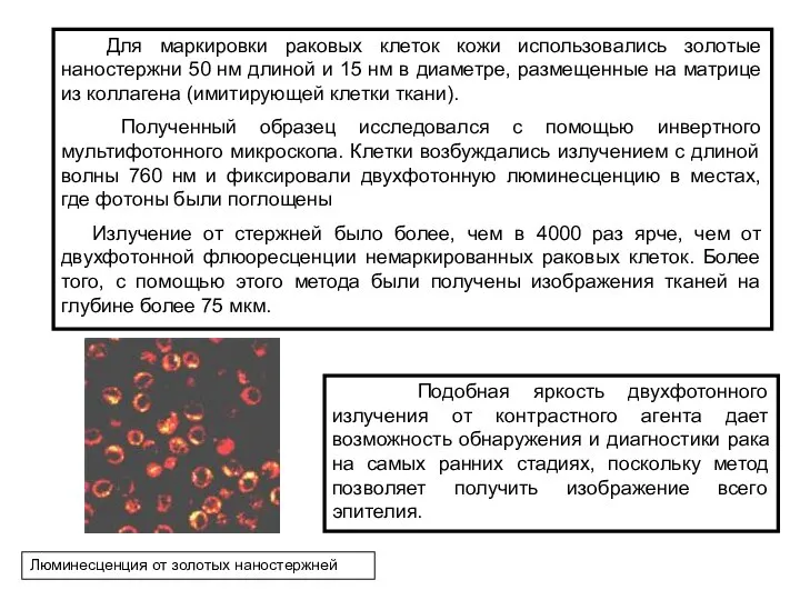 Для маркировки раковых клеток кожи использовались золотые наностержни 50 нм длиной