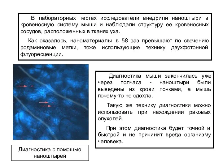 В лабораторных тестах исследователи внедрили наноштыри в кровеносную систему мыши и