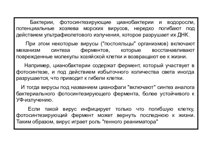 Бактерии, фотосинтезирующие цианобактерии и водоросли, потенциальные хозяева морских вирусов, нередко погибают