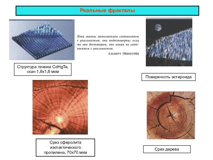 Реальные фракталы Структура пленки CdHgTe, скан 1,8х1,8 мкм Срез сферолита изотактического