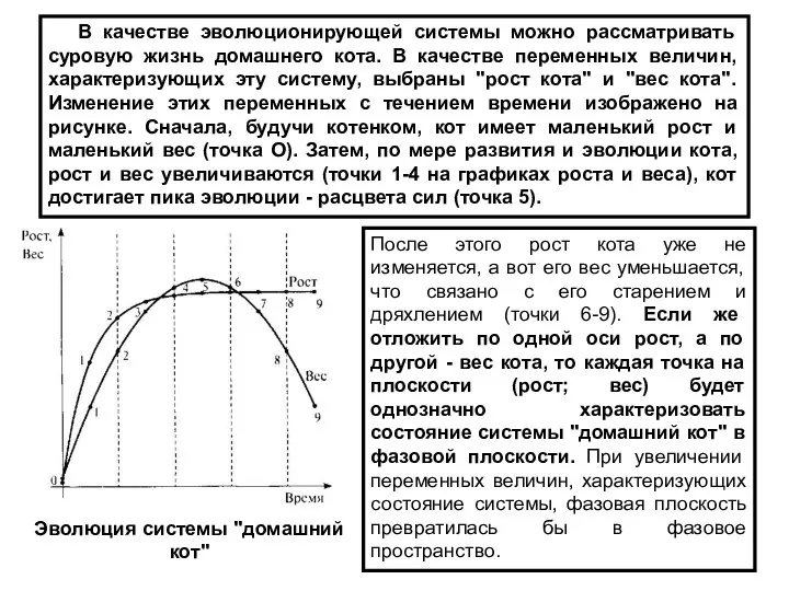 В качестве эволюционирующей системы можно рассматривать суровую жизнь домашнего кота. В