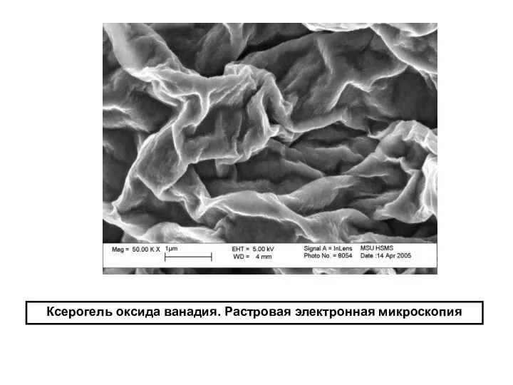 Ксерогель оксида ванадия. Растровая электронная микроскопия