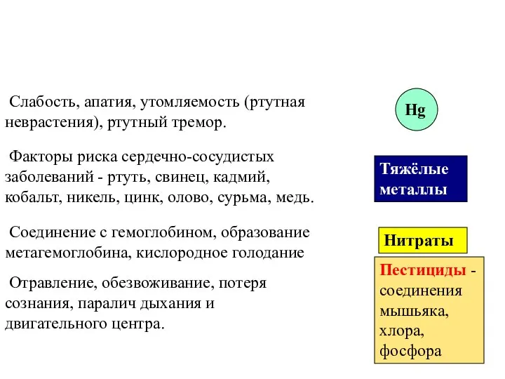 Слабость, апатия, утомляемость (ртутная неврастения), ртутный тремор. Факторы риска сердечно-сосудистых заболеваний