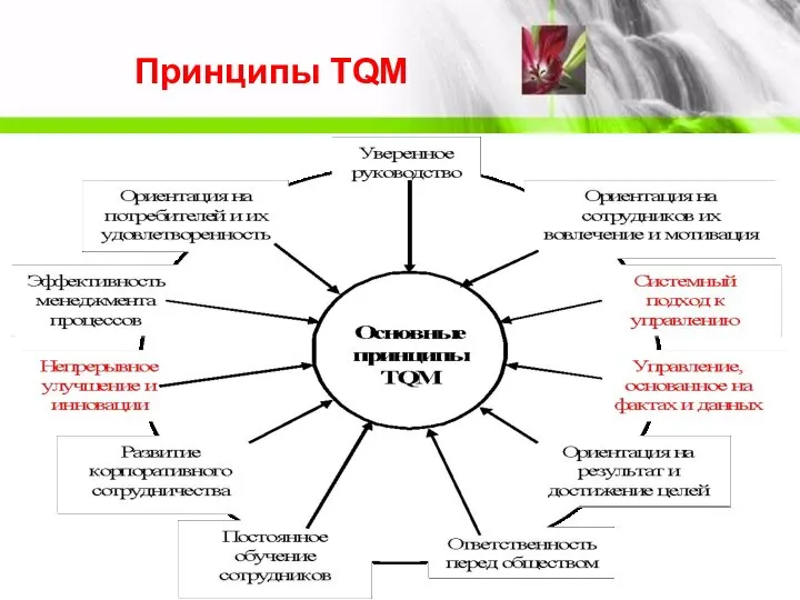 Принципы TQM