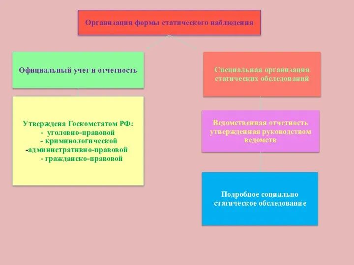 Организация формы статического наблюдения Официальный учет и отчетность Специальная организация статических