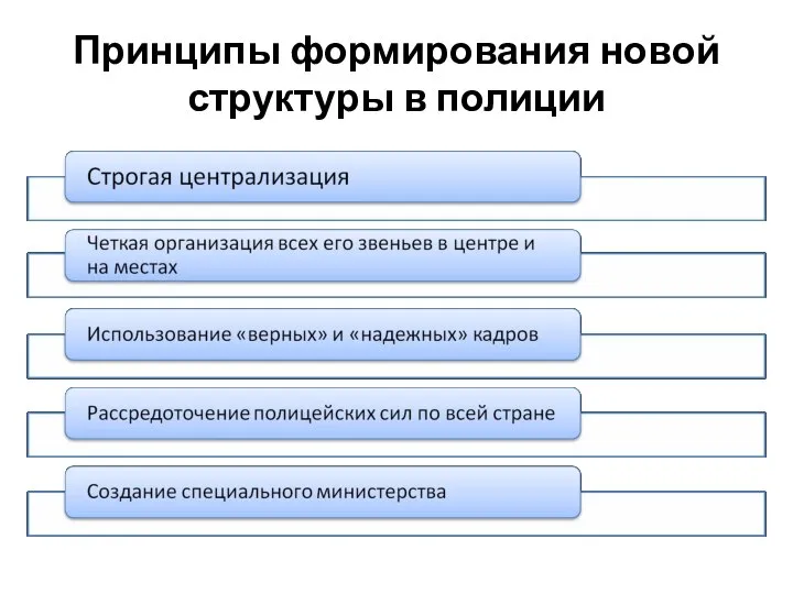 Принципы формирования новой структуры в полиции