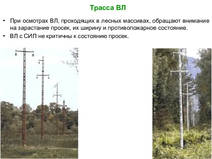 Трасса ВЛ При осмотрах ВЛ, проходящих в лесных массивах, обращают внимание