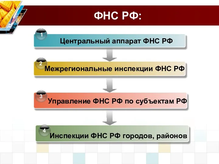 ФНС РФ: Центральный аппарат ФНС РФ Управление ФНС РФ по субъектам