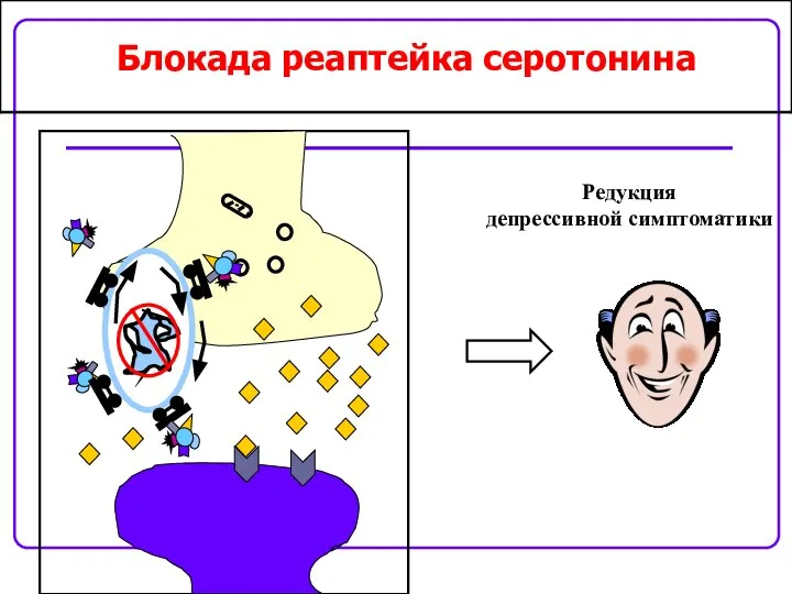 Блокада реаптейка серотонина Редукция депрессивной симптоматики