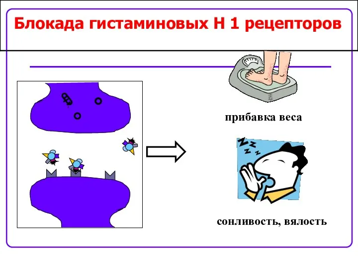 Блокада гистаминовых H 1 рецепторов прибавка веса сонливость, вялость