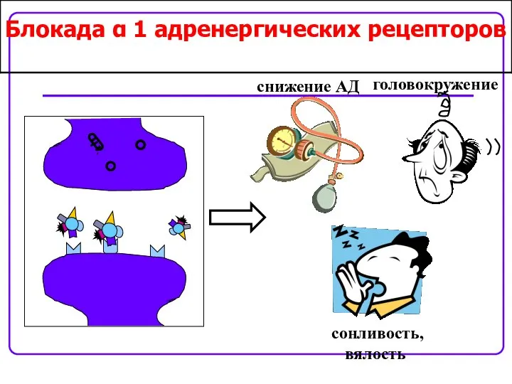 Блокада α 1 адренергических рецепторов сонливость, вялость снижение АД головокружение