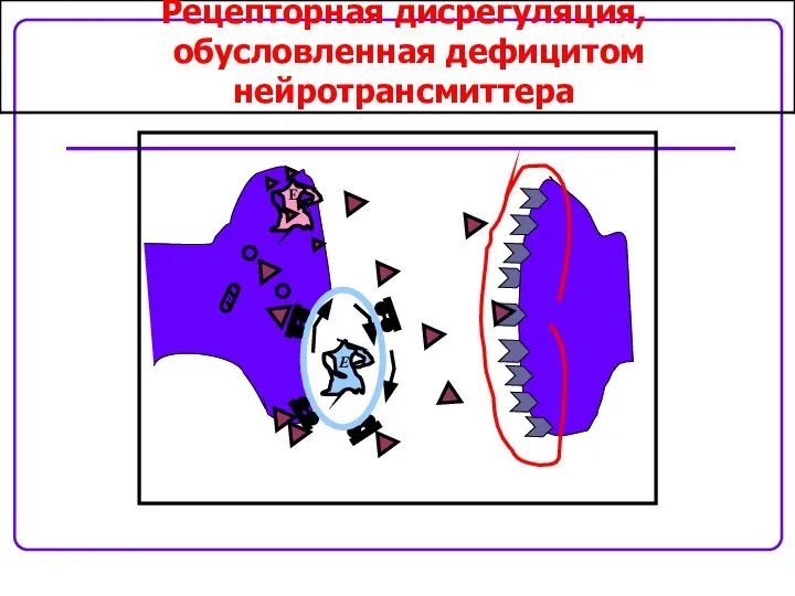 E E E Рецепторная дисрегуляция, обусловленная дефицитом нейротрансмиттера