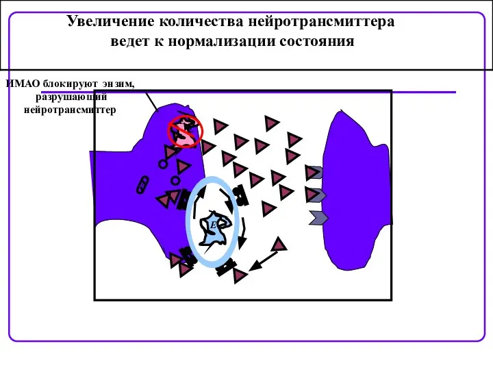 E E E ИМАО блокируют энзим, разрушающий нейротрансмиттер Увеличение количества нейротрансмиттера ведет к нормализации состояния