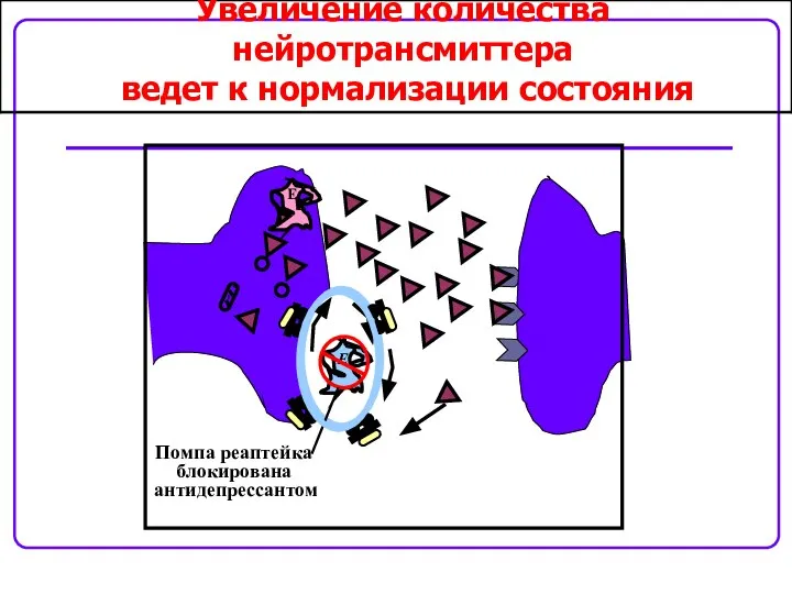 E E E Увеличение количества нейротрансмиттера ведет к нормализации состояния Помпа реаптейка блокирована антидепрессантом