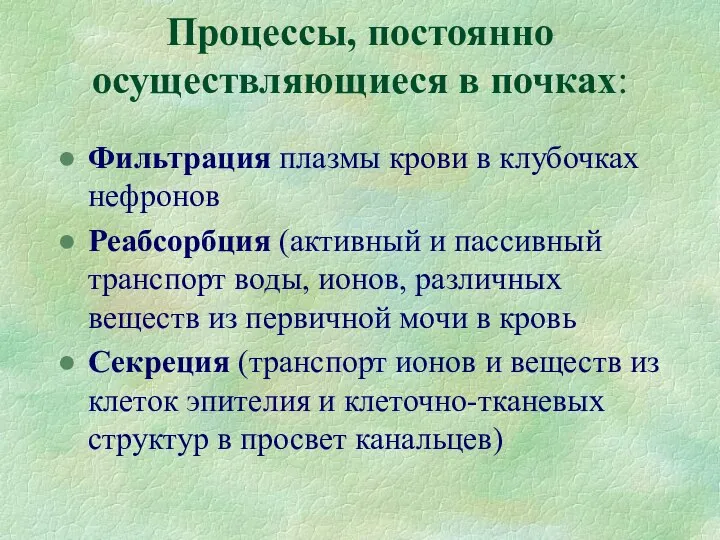 Процессы, постоянно осуществляющиеся в почках: Фильтрация плазмы крови в клубочках нефронов