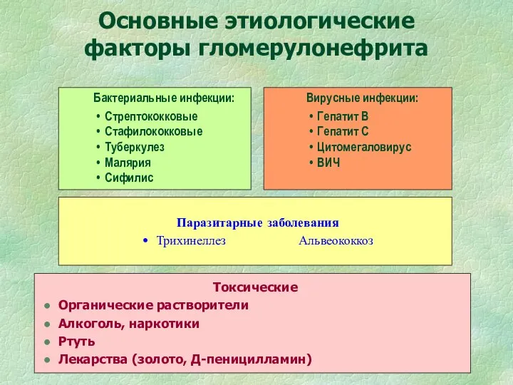 Основные этиологические факторы гломерулонефрита Токсические Органические растворители Алкоголь, наркотики Ртуть Лекарства (золото, Д-пеницилламин)