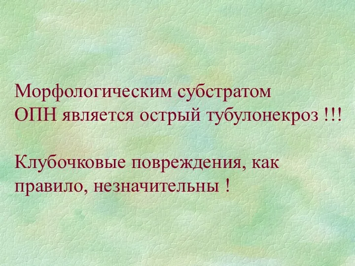 Морфологическим субстратом ОПН является острый тубулонекроз !!! Клубочковые повреждения, как правило, незначительны !