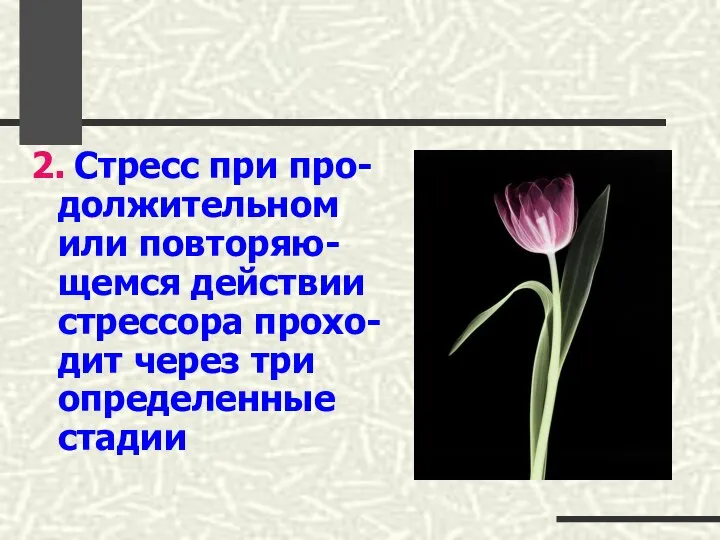 2. Стресс при про-должительном или повторяю-щемся действии стрессора прохо-дит через три определенные стадии