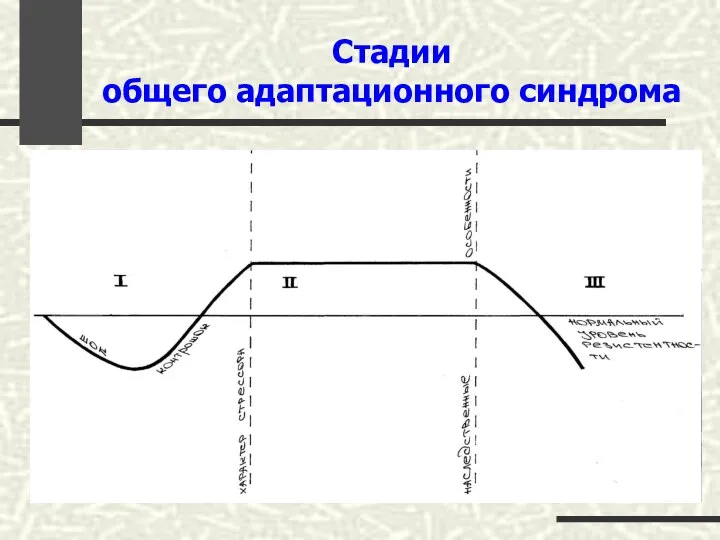 Стадии общего адаптационного синдрома