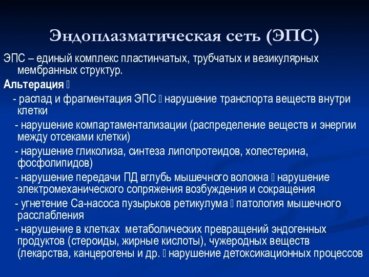 Эндоплазматическая сеть (ЭПС) ЭПС – единый комплекс пластинчатых, трубчатых и везикулярных