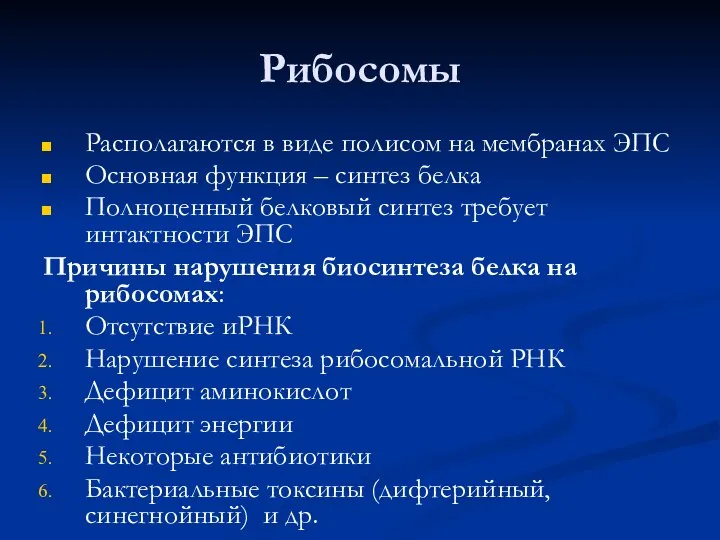 Рибосомы Располагаются в виде полисом на мембранах ЭПС Основная функция –