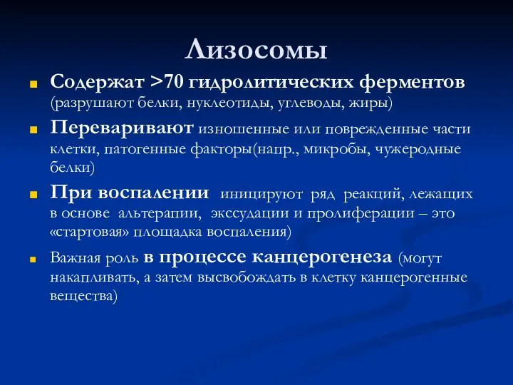 Лизосомы Содержат >70 гидролитических ферментов (разрушают белки, нуклеотиды, углеводы, жиры) Переваривают