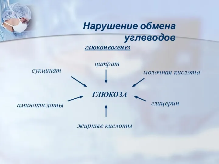 глюконеогенез сукцинат Нарушение обмена углеводов ГЛЮКОЗА жирные кислоты глицерин молочная кислота цитрат аминокислоты