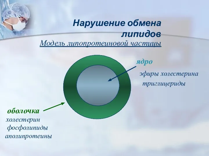 Модель липопротеиновой частицы холестерин триглицериды ядро эфиры холестерина оболочка аполипротеины фосфолипиды Нарушение обмена липидов