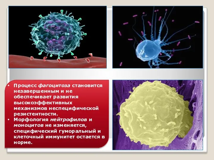 Процесс фагоцитоза становится незавершенным и не обеспечивает развития высокоэффективных механизмов неспецифической