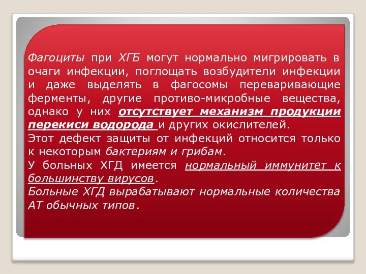 Фагоциты при ХГБ могут нормально мигрировать в очаги инфекции, поглощать возбудители