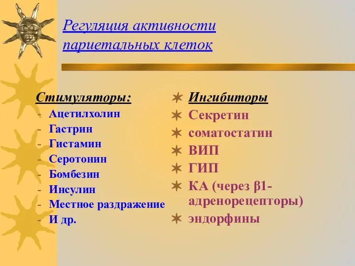 Регуляция активности париетальных клеток Стимуляторы: Ацетилхолин Гастрин Гистамин Серотонин Бомбезин Инсулин