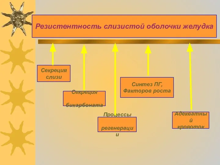 Резистентность слизистой оболочки желудка Секреция слизи Секреция бикарбоната Процессы регенерации Адекватный кровоток Синтез ПГ, Факторов роста