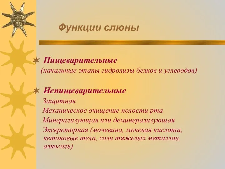 Функции слюны Пищеварительные (начальные этапы гидролизы белков и углеводов) Непищеварительные Защитная