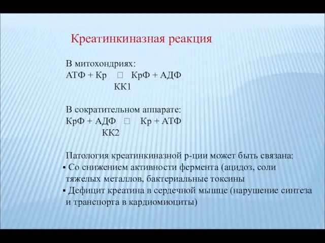 Креатинкиназная реакция В митохондриях: АТФ + Кр ? КрФ + АДФ