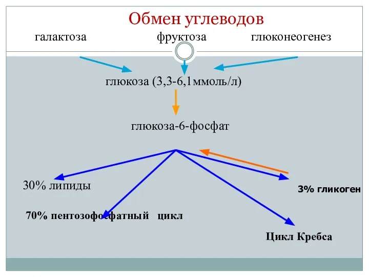 Обмен углеводов галактоза фруктоза глюконеогенез глюкоза (3,3-6,1ммоль/л) глюкоза-6-фосфат 30% липиды 70%