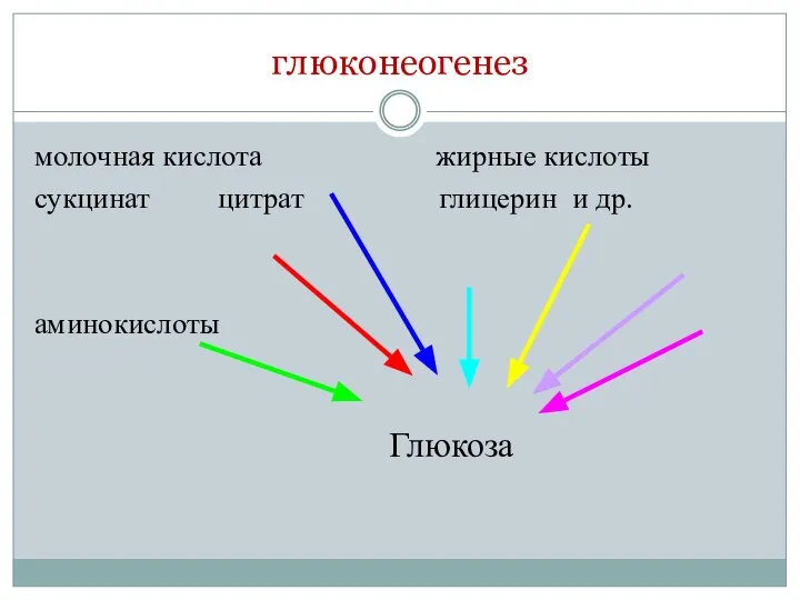 глюконеогенез молочная кислота жирные кислоты сукцинат цитрат глицерин и др. аминокислоты Глюкоза