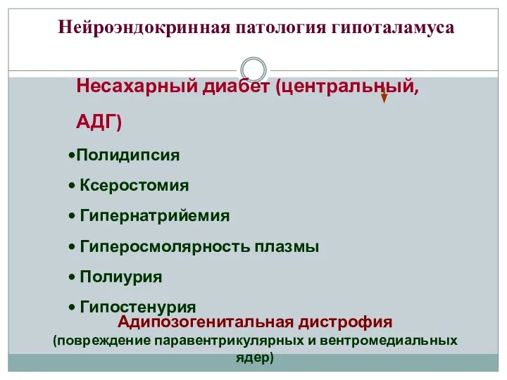 Нейроэндокринная патология гипоталамуса Несахарный диабет (центральный, АДГ) Полидипсия Ксеростомия Гипернатрийемия Гиперосмолярность