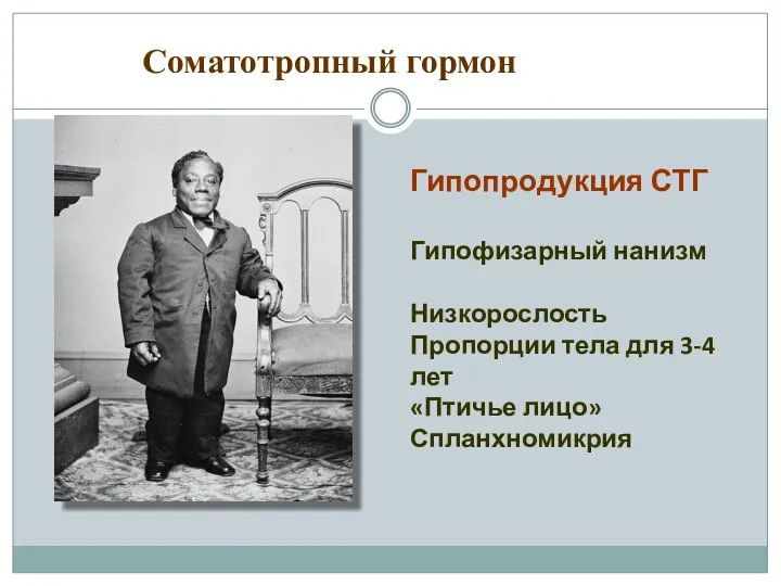 Соматотропный гормон Гипопродукция СТГ Гипофизарный нанизм Низкорослость Пропорции тела для 3-4 лет «Птичье лицо» Спланхномикрия