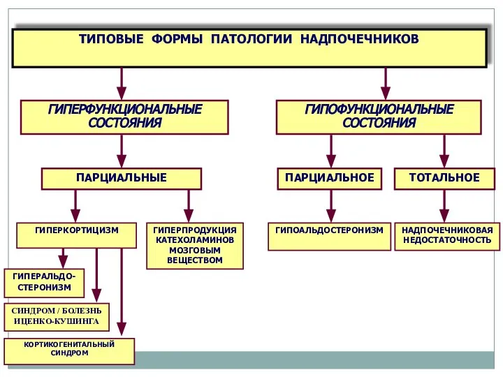 ТИПОВЫЕ ФОРМЫ ПАТОЛОГИИ НАДПОЧЕЧНИКОВ