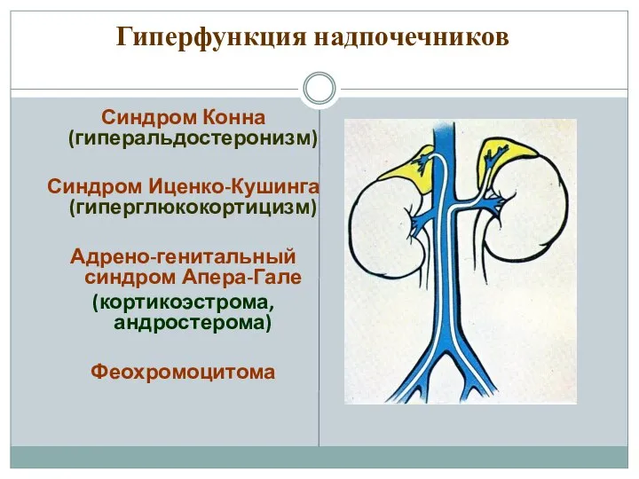 Гиперфункция надпочечников Синдром Конна (гиперальдостеронизм) Синдром Иценко-Кушинга (гиперглюкокортицизм) Адрено-генитальный синдром Апера-Гале (кортикоэстрома, андростерома) Феохромоцитома