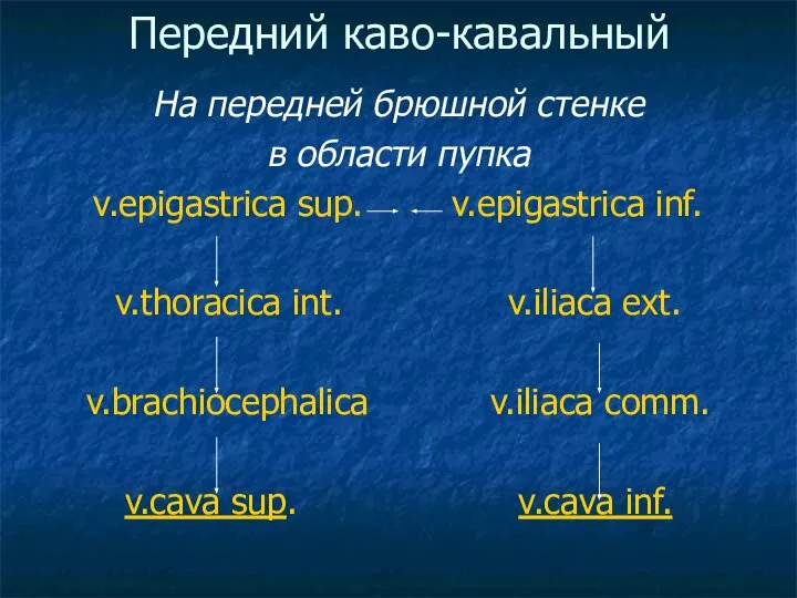 Передний каво-кавальный На передней брюшной стенке в области пупка v.epigastrica sup.