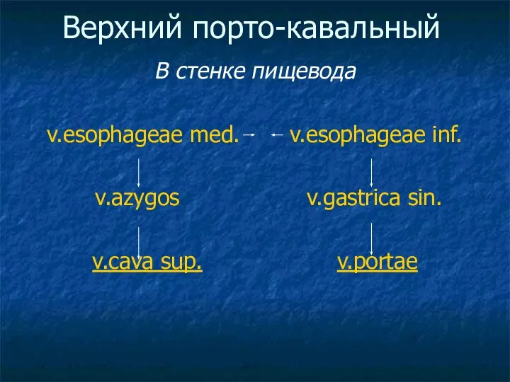 Верхний порто-кавальный В стенке пищевода v.esophageae med. v.esophageae inf. v.azygos v.gastrica sin. v.cava sup. v.portae