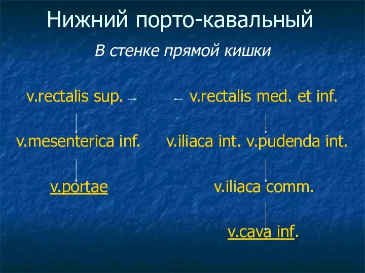 Нижний порто-кавальный В стенке прямой кишки v.rectalis sup. v.rectalis med. et